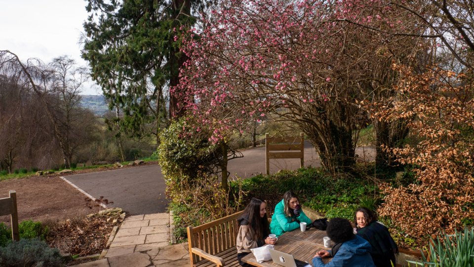people sat outdoors with cherry blossom