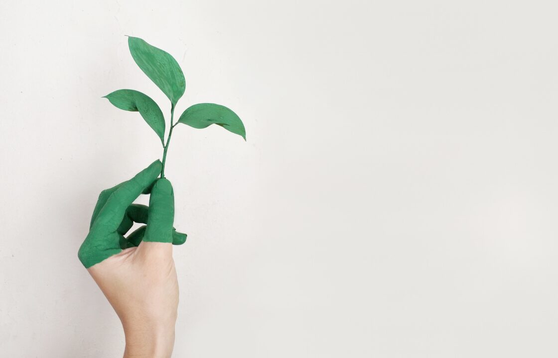 Hand with fingers painted green, holding a stem with three leaves