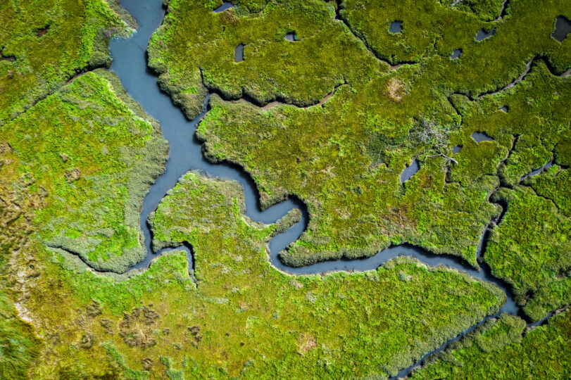 Aerial view of lush coastal wetlands in Wales, UK