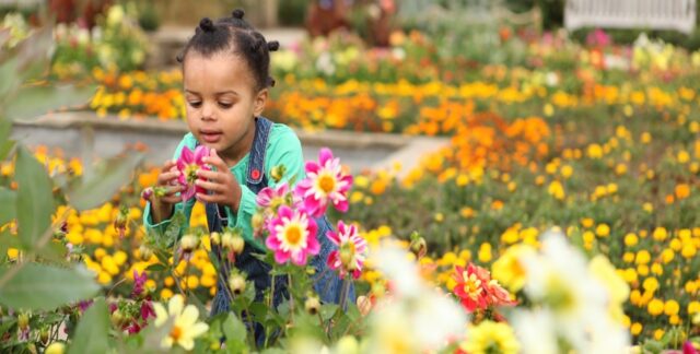 Child in garden, smelling a flower