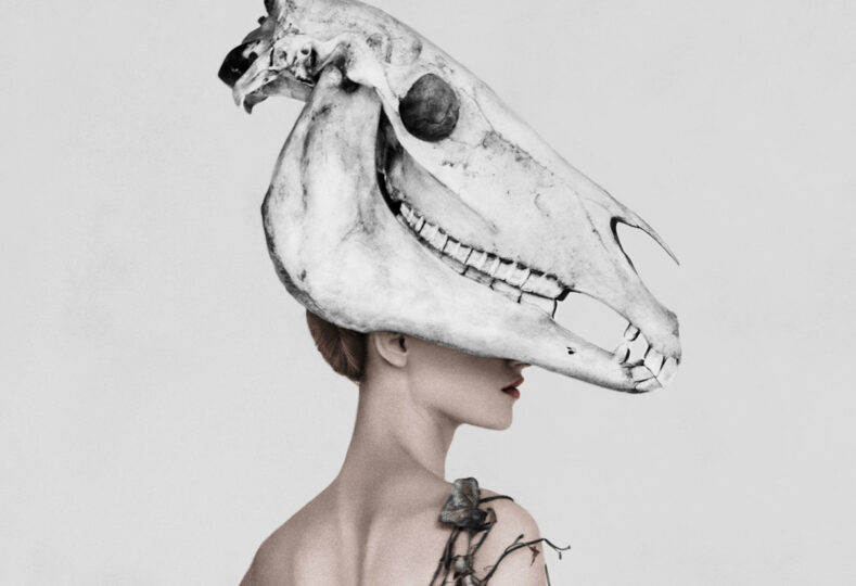 Person wearing a large animal skull on top of their head