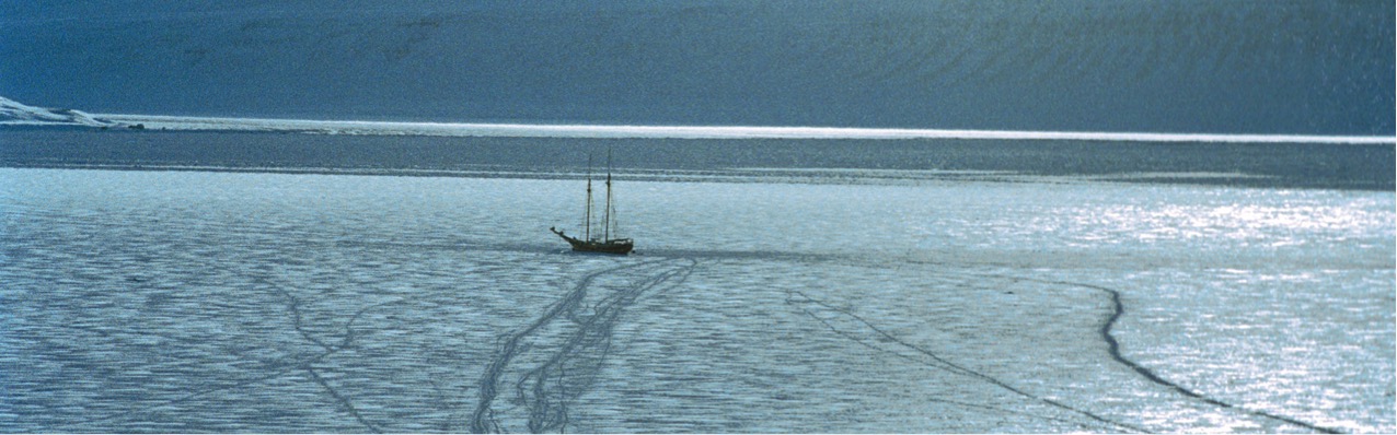 Boat sailing through frozen water