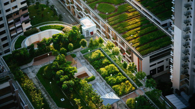 Overlooking a green city