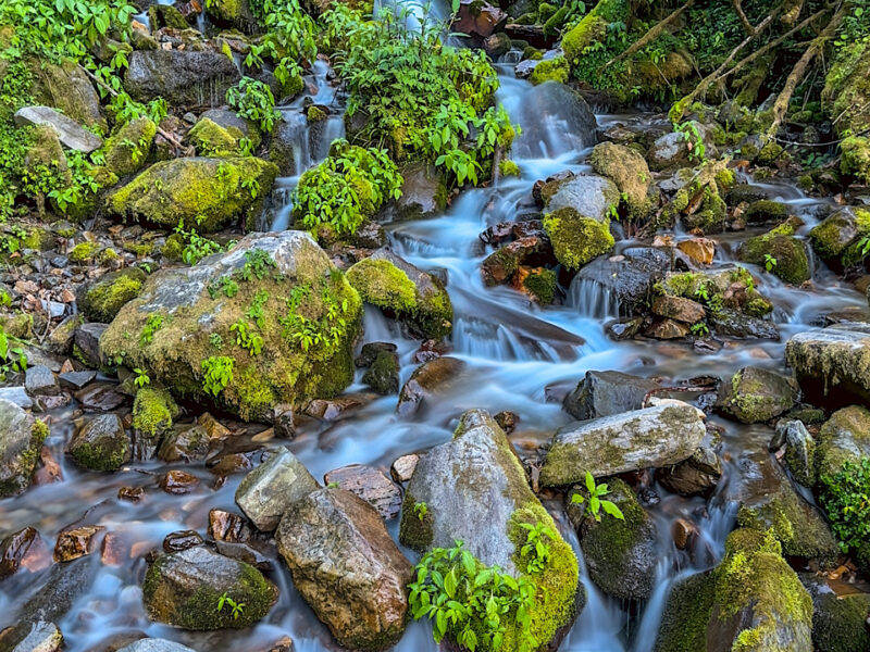 Rocks and water and moss