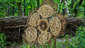 Kyte Photography – willow weaved public art used on our site created by Maggie Cooper.