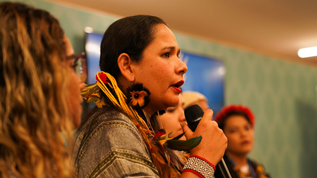 Shirley Djukurna Krenak – activist for Indigenous voices within the climate movement;