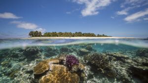 The Reef Surrounding Namotu Island, Fiji, An Over Under Shot Of A Coral Reef With Colourful Corals, And Clear Sea Water, With Signs Of Coral Bleaching Caused By Increasing Ocean Temperatures.