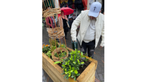 Neil Baker helping plant and water the planters made by Bostin’ Arts during the planting day in Wednesbury High Street,