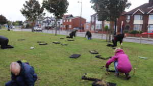 Participants helping plant the meadow in West Bromwich