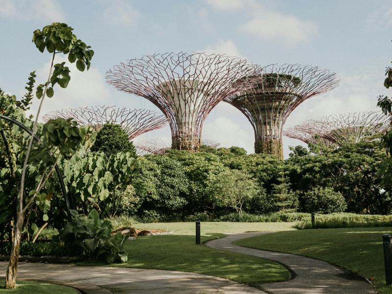 Singapore Marina Gardens