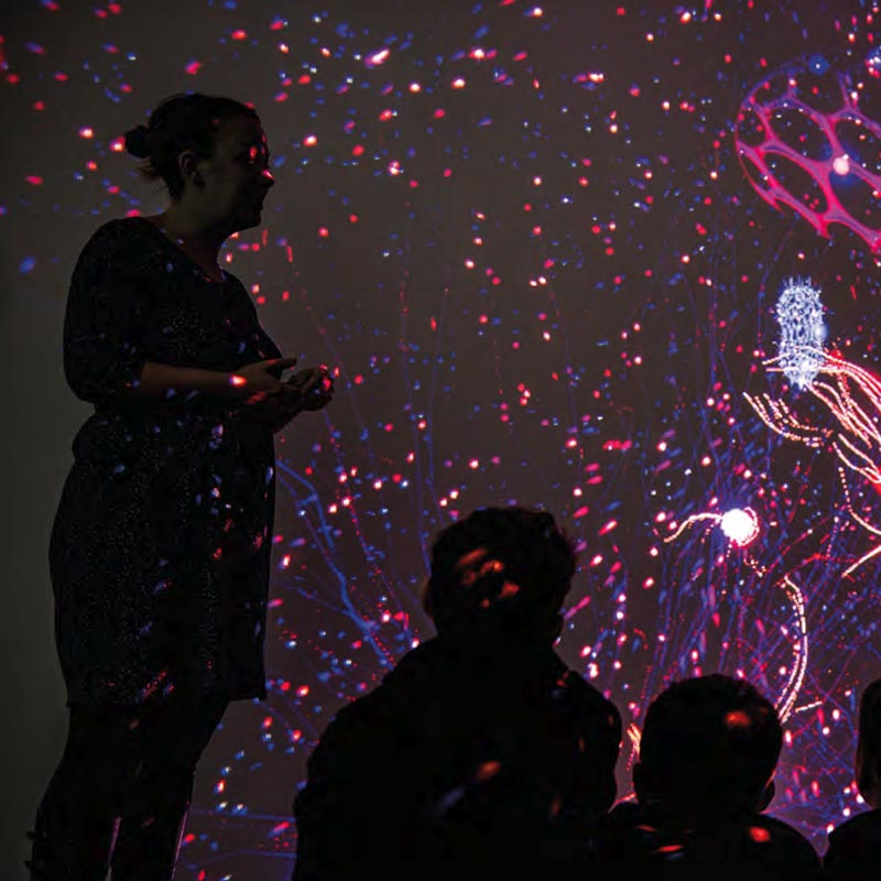 Silhouette of a person speaking with 2 other silhouettes looking on, with bright underwater lights projected over them