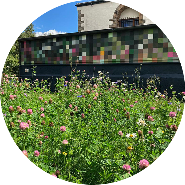 Foreground of flora, pink flowers and green meadow. Background is a building with a pixelated-styled colourful exterior.