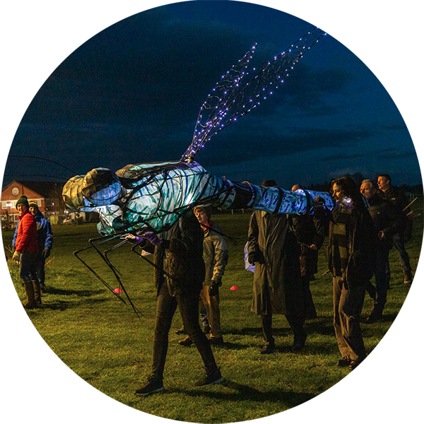 People outdoors, night time on green grass. They are holding up a large art sculpture of a dragonfly which is lit up by lights.