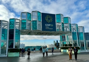 COP29 entrance