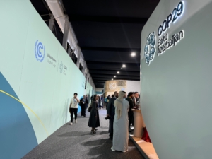 COP29 indoors