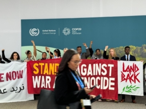 Protests at COP29