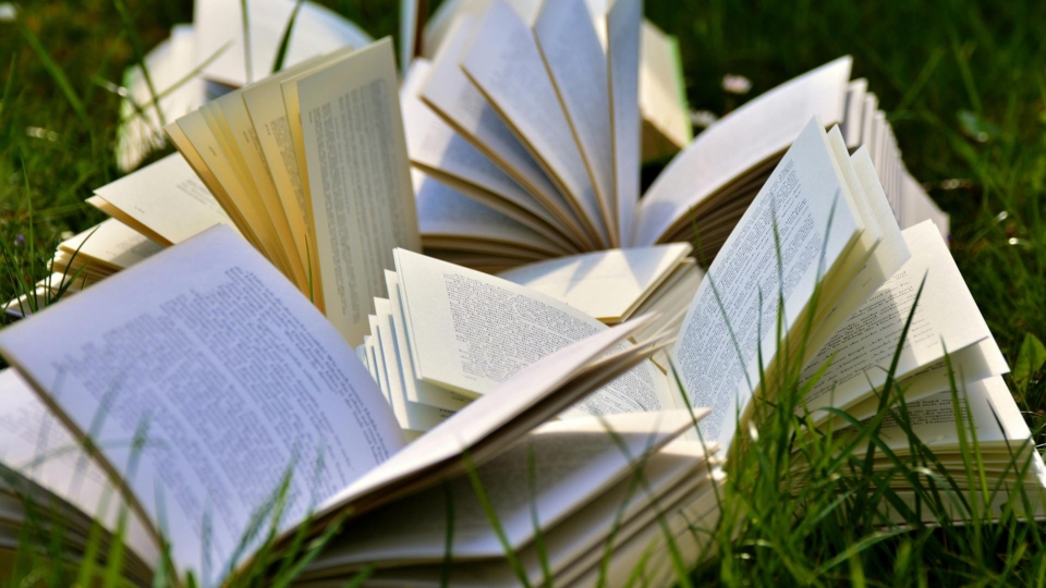 Open Books on Grass Field